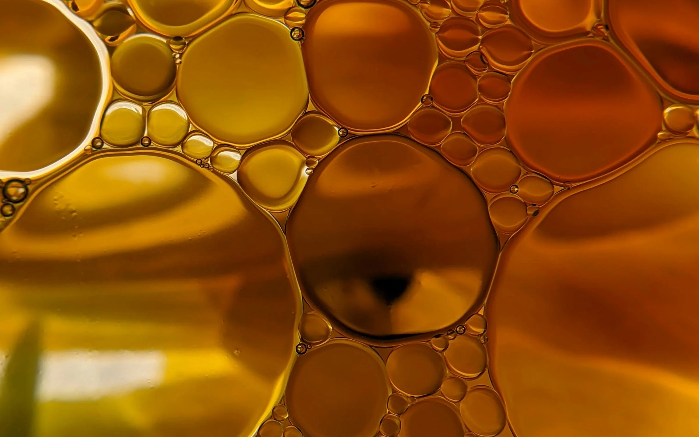 Golden oil drops in water, close-up