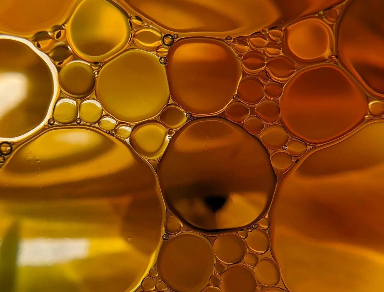 Golden oil drops in water, close-up