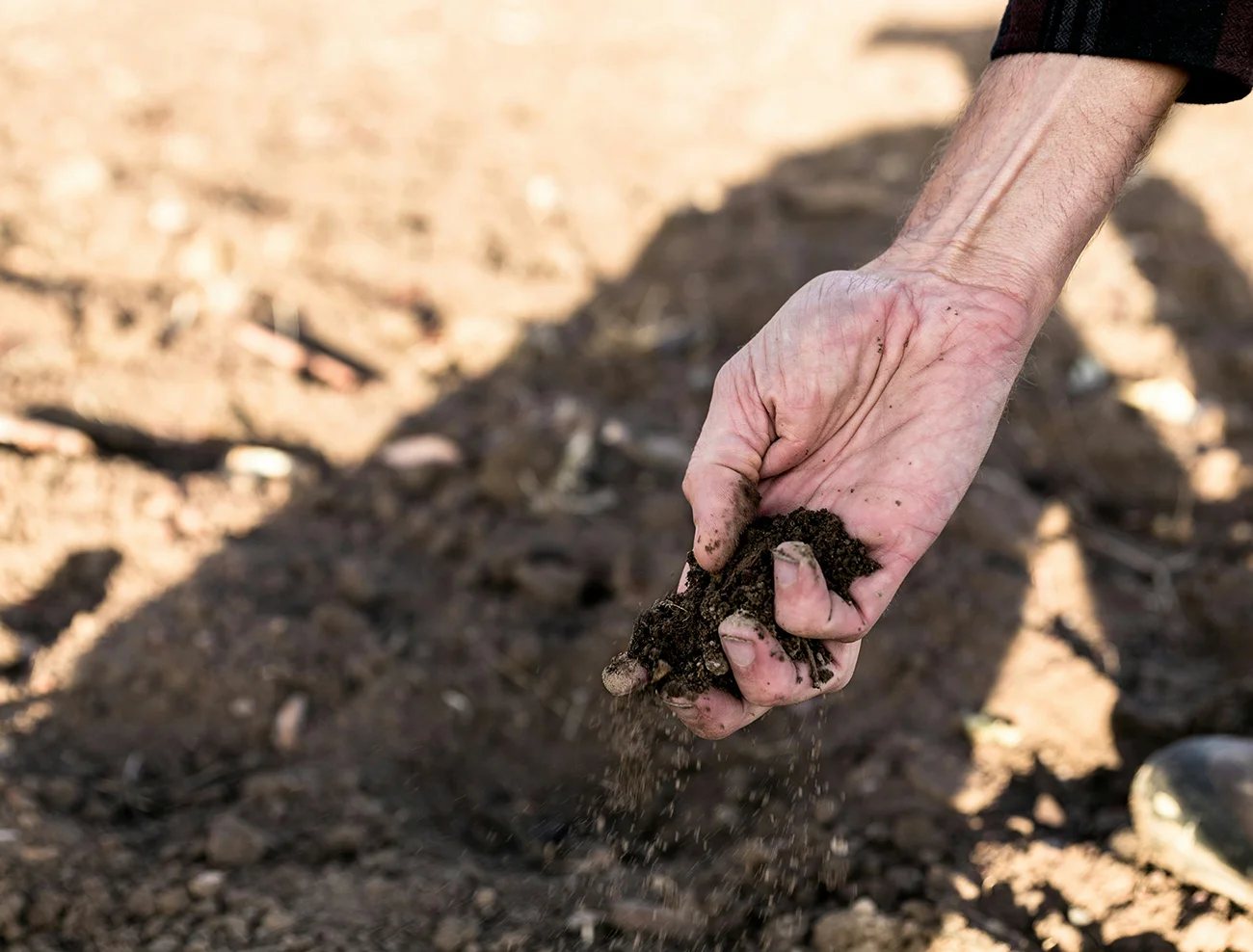 A hand letting dry soil fall through its fingers